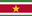suriname-flag-icon-32