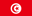 tunisia-flag-icon-32